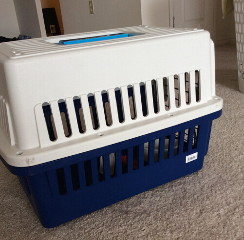 pet carrier1.jpg